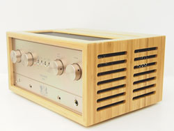 iFI-Audio Retro Stereo 50